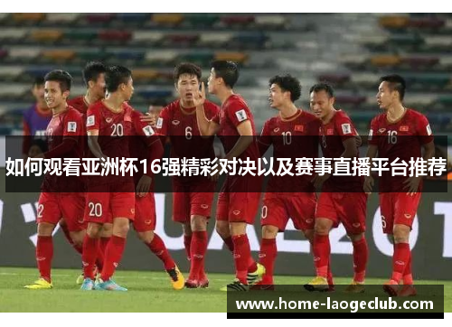 如何观看亚洲杯16强精彩对决以及赛事直播平台推荐