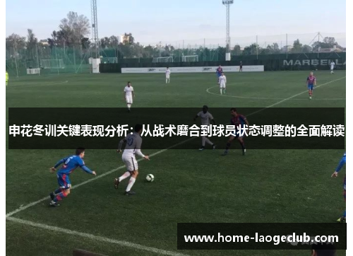 申花冬训关键表现分析：从战术磨合到球员状态调整的全面解读