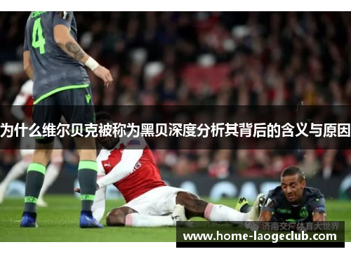 为什么维尔贝克被称为黑贝深度分析其背后的含义与原因