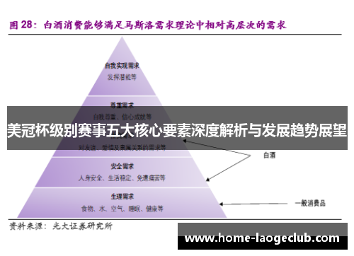 美冠杯级别赛事五大核心要素深度解析与发展趋势展望