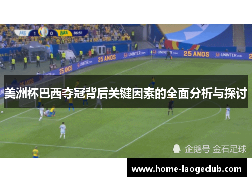 美洲杯巴西夺冠背后关键因素的全面分析与探讨