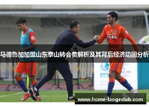 马德鲁加加盟山东泰山转会费解析及其背后经济动因分析